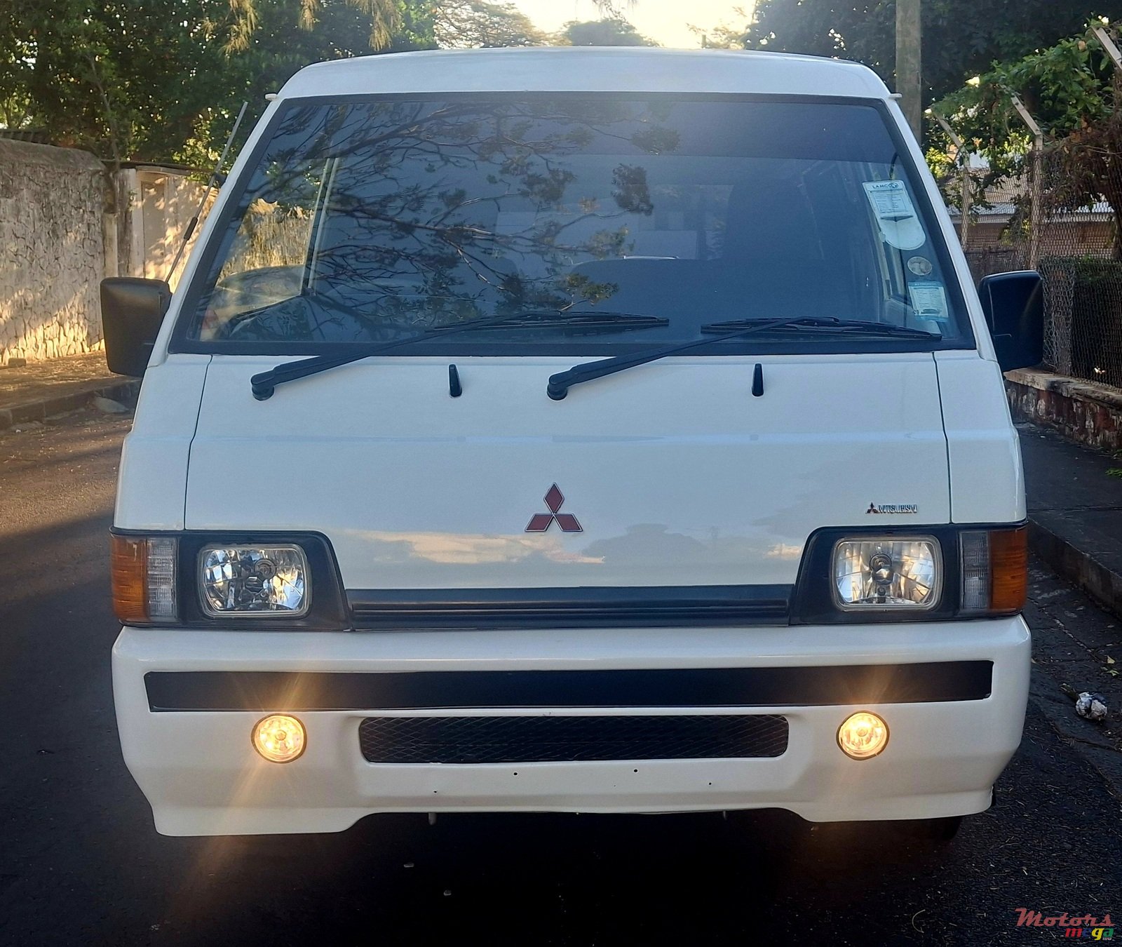 2010' Mitsubishi L300 photo #2