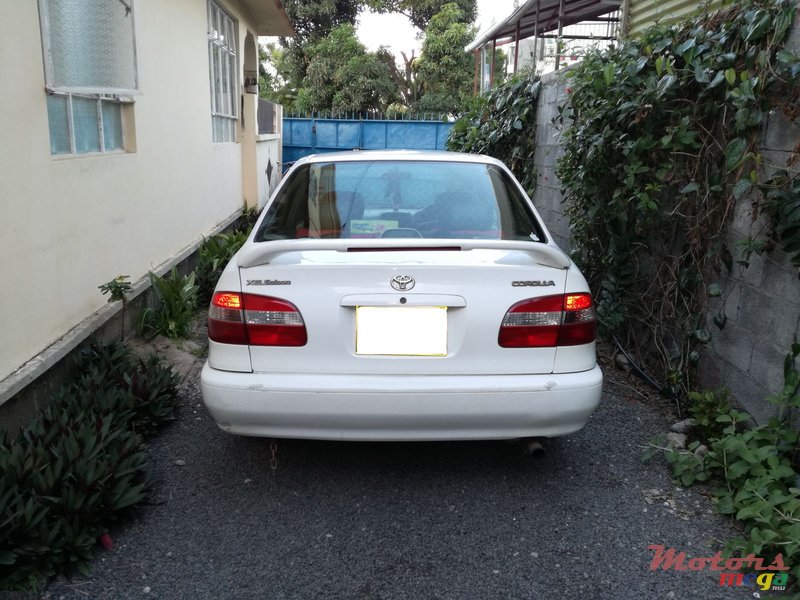 1998' Toyota Corolla photo #4