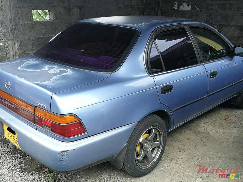 1996' Toyota Corolla photo #4