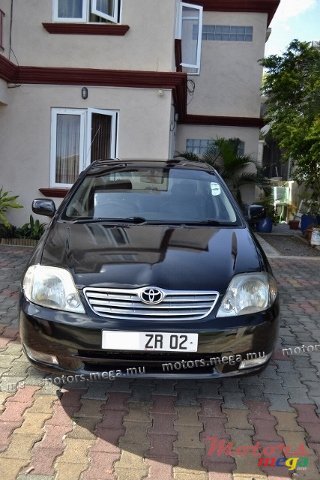 2002' Toyota Corolla NZE photo #2