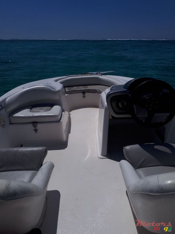 2008' Cobra photo #3