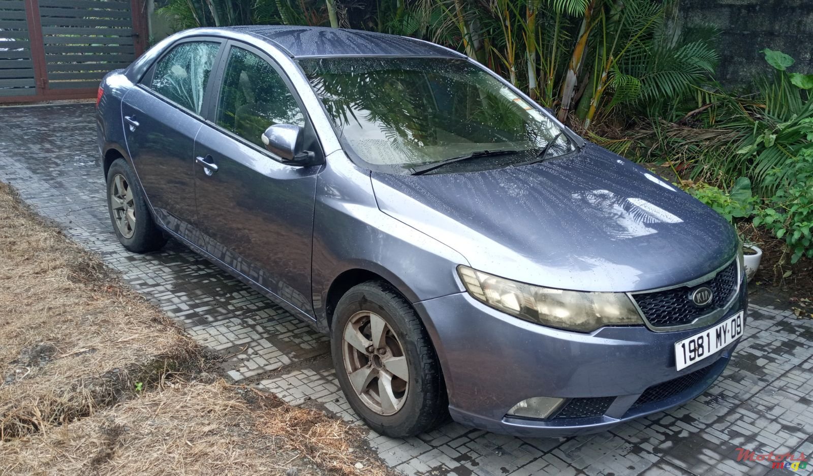 2009' Kia Cerato photo #1