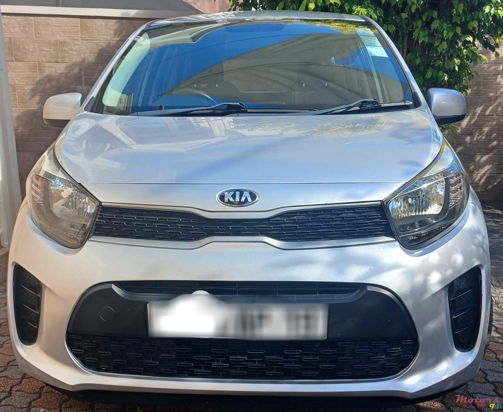 2019' Kia Picanto photo #1