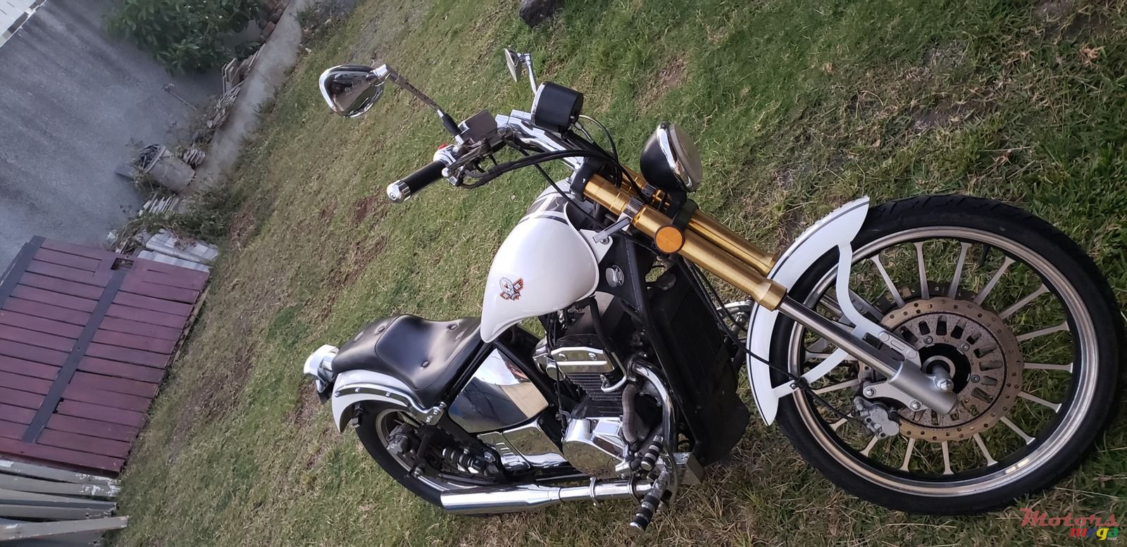 2013' Regal-Raptor photo #4