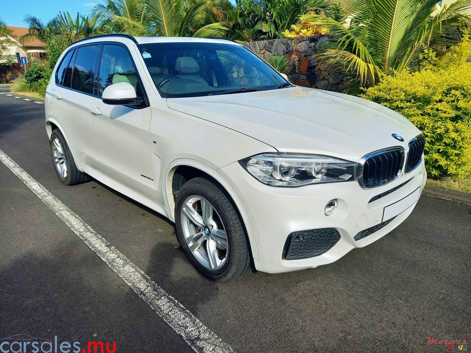 2014' BMW X5 M Sport Line photo #1