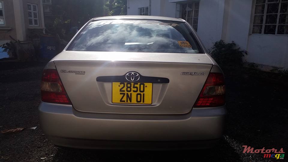 2001' Toyota Corolla NZE photo #6