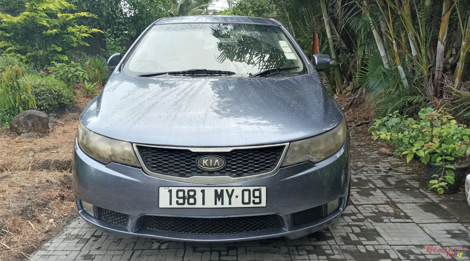 2009' Kia Cerato photo #2