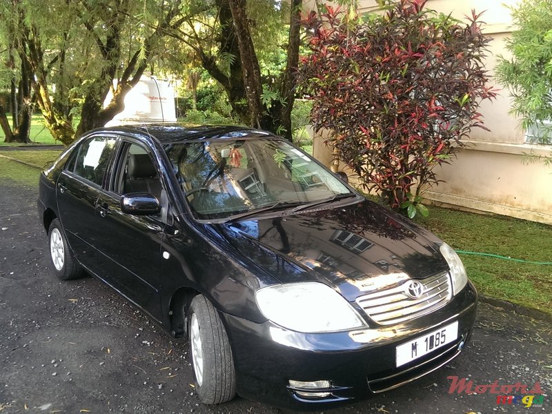 2003' Toyota Corolla NZE photo #1