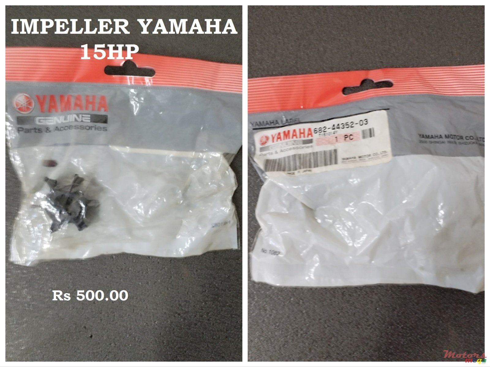 2024' Suzuki photo #1