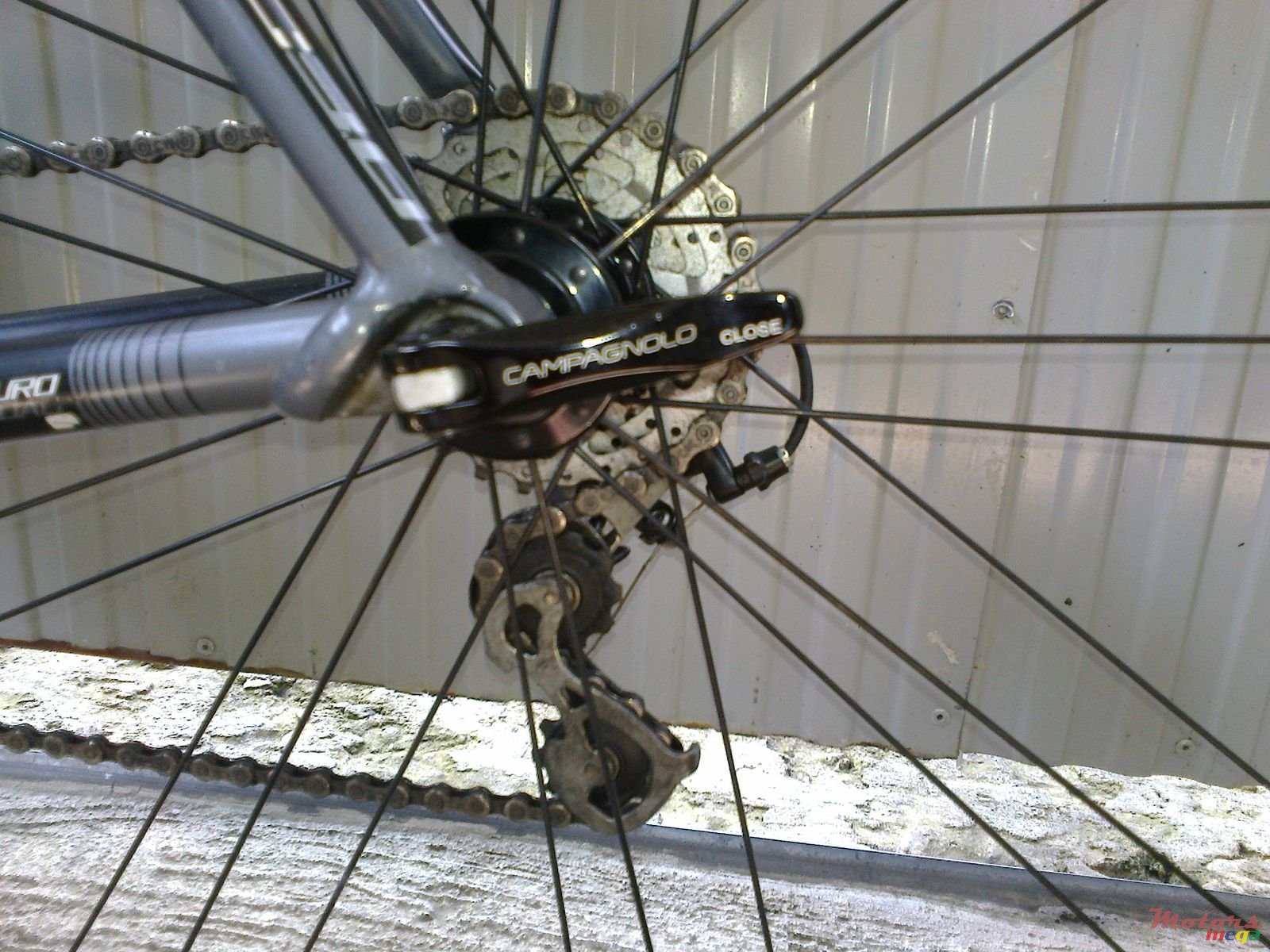 2014' Campagna photo #6