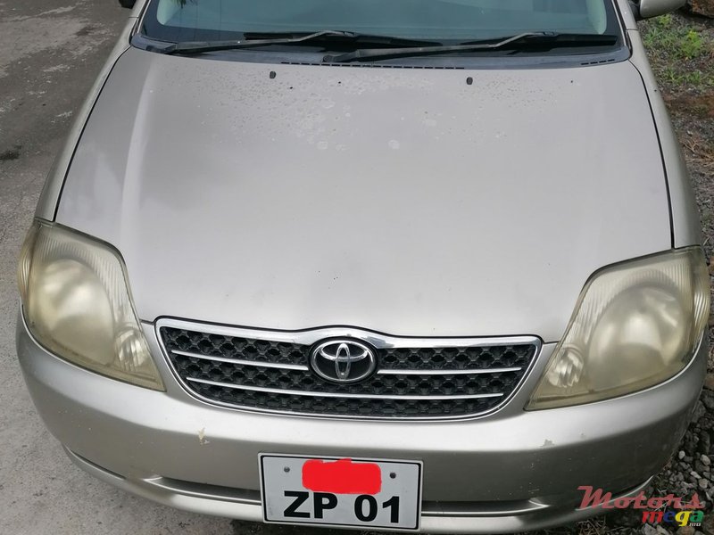 2001' Toyota Corolla photo #1