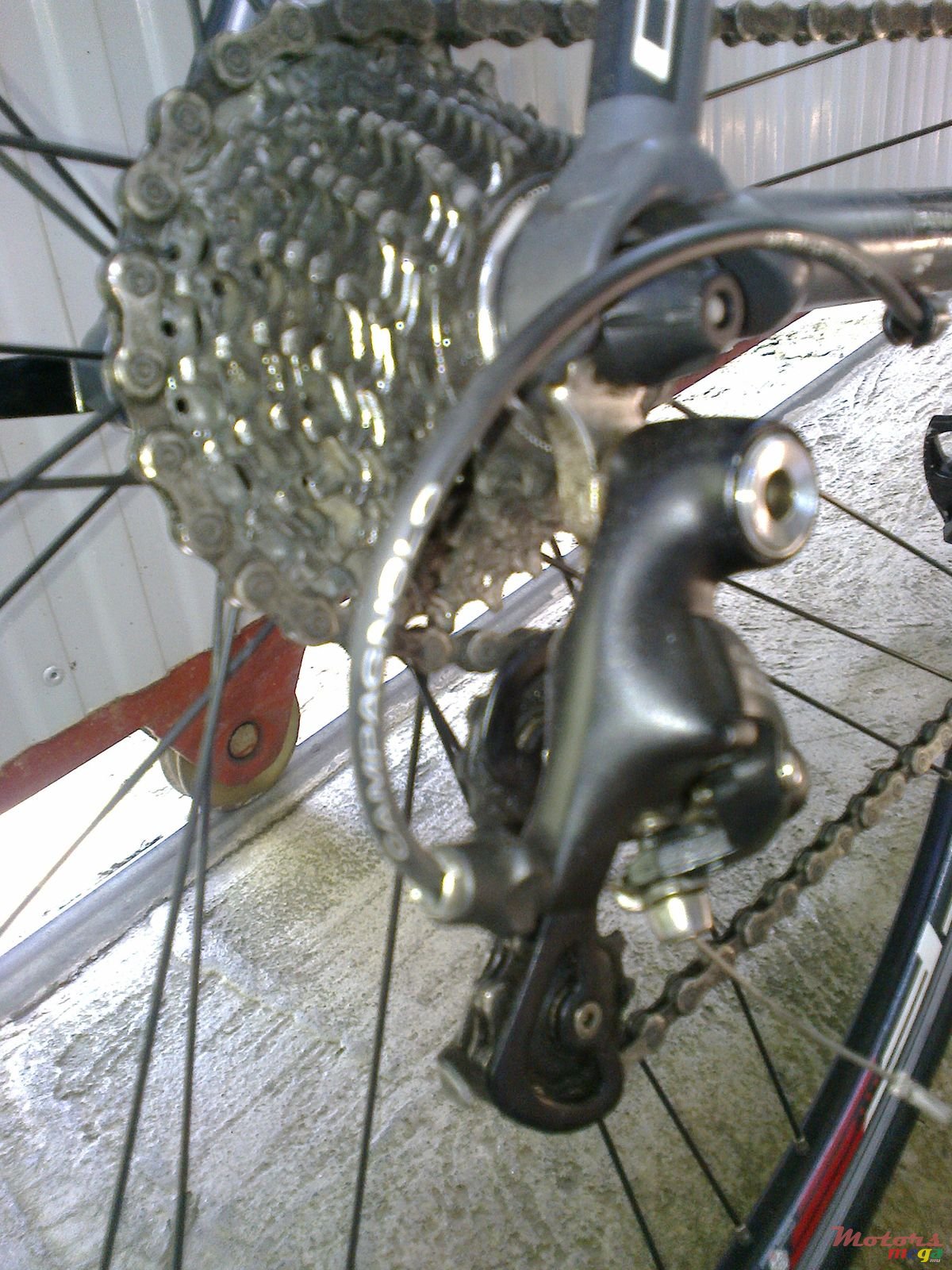 2014' Campagna photo #3