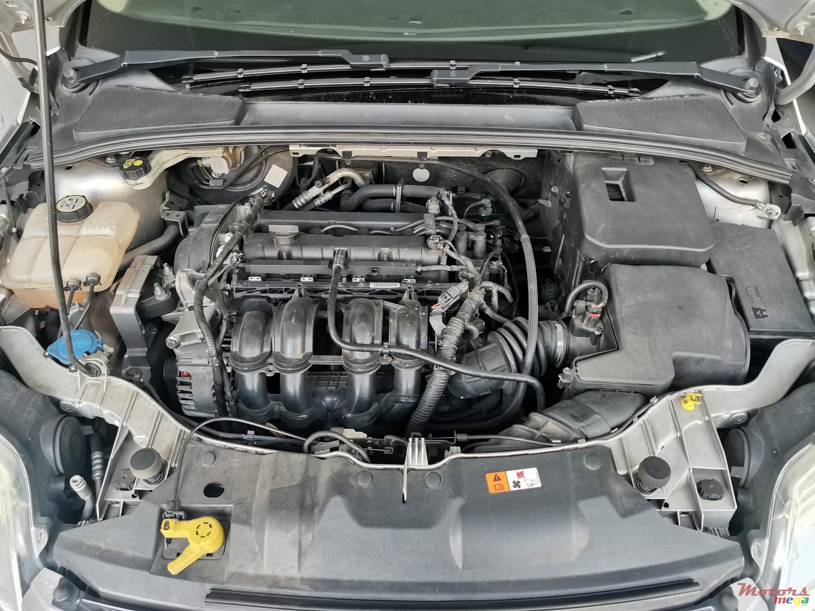 2013' Ford Focus photo #3