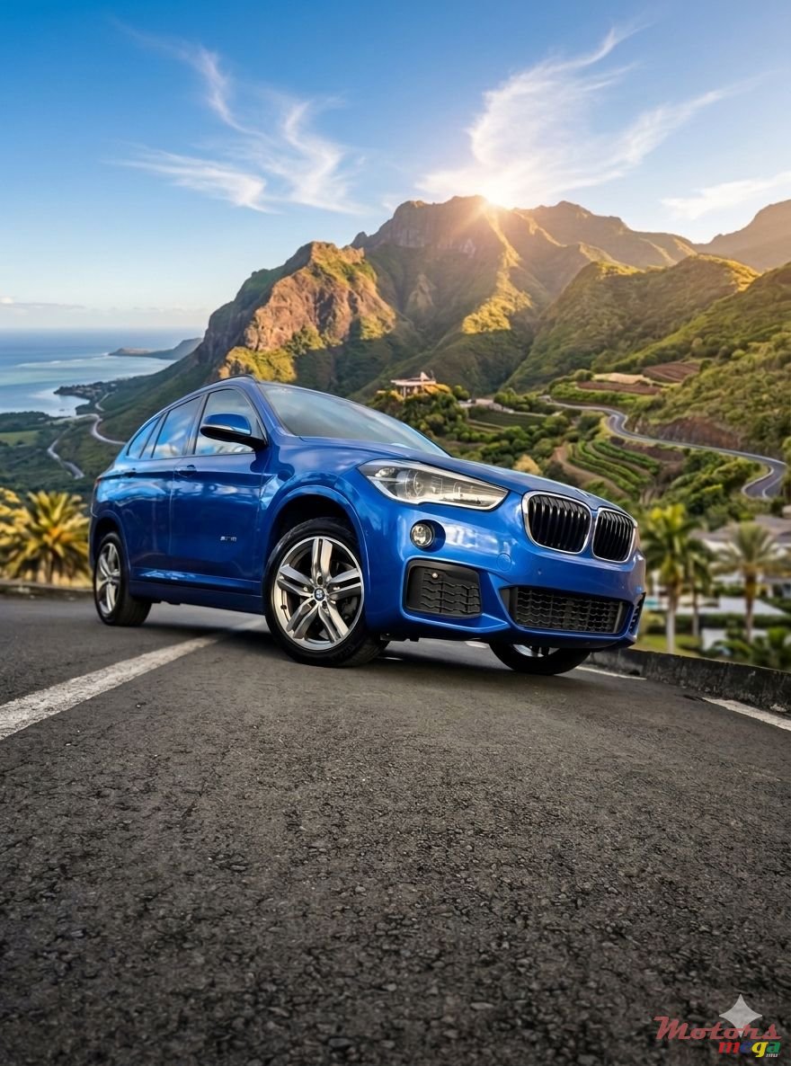 2017' BMW X1 M-Sport Pack photo #7