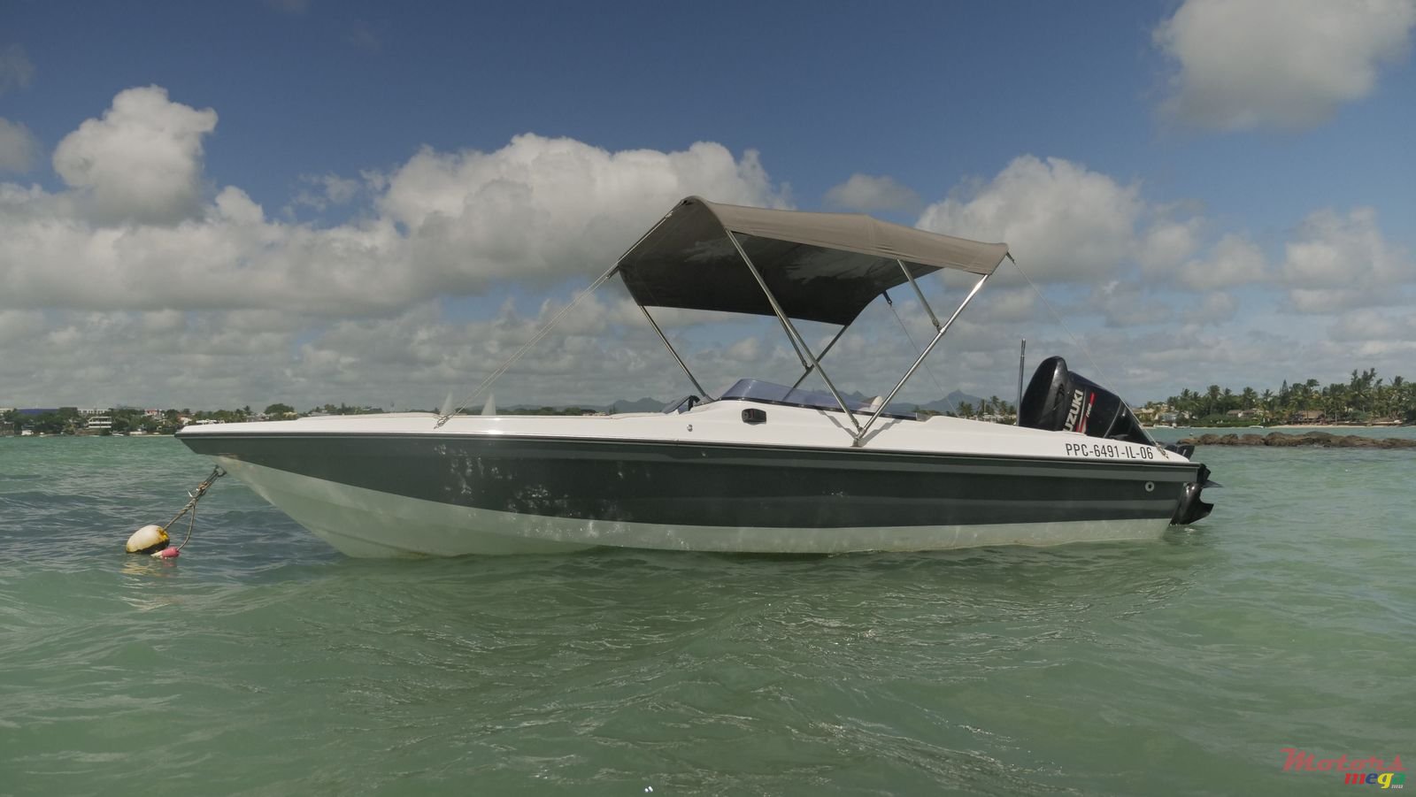 2013' Cobra 19 photo #1