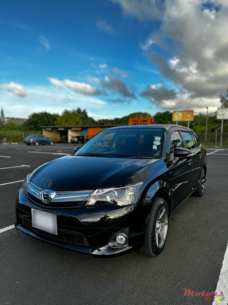 2013' Toyota Fielder photo #2