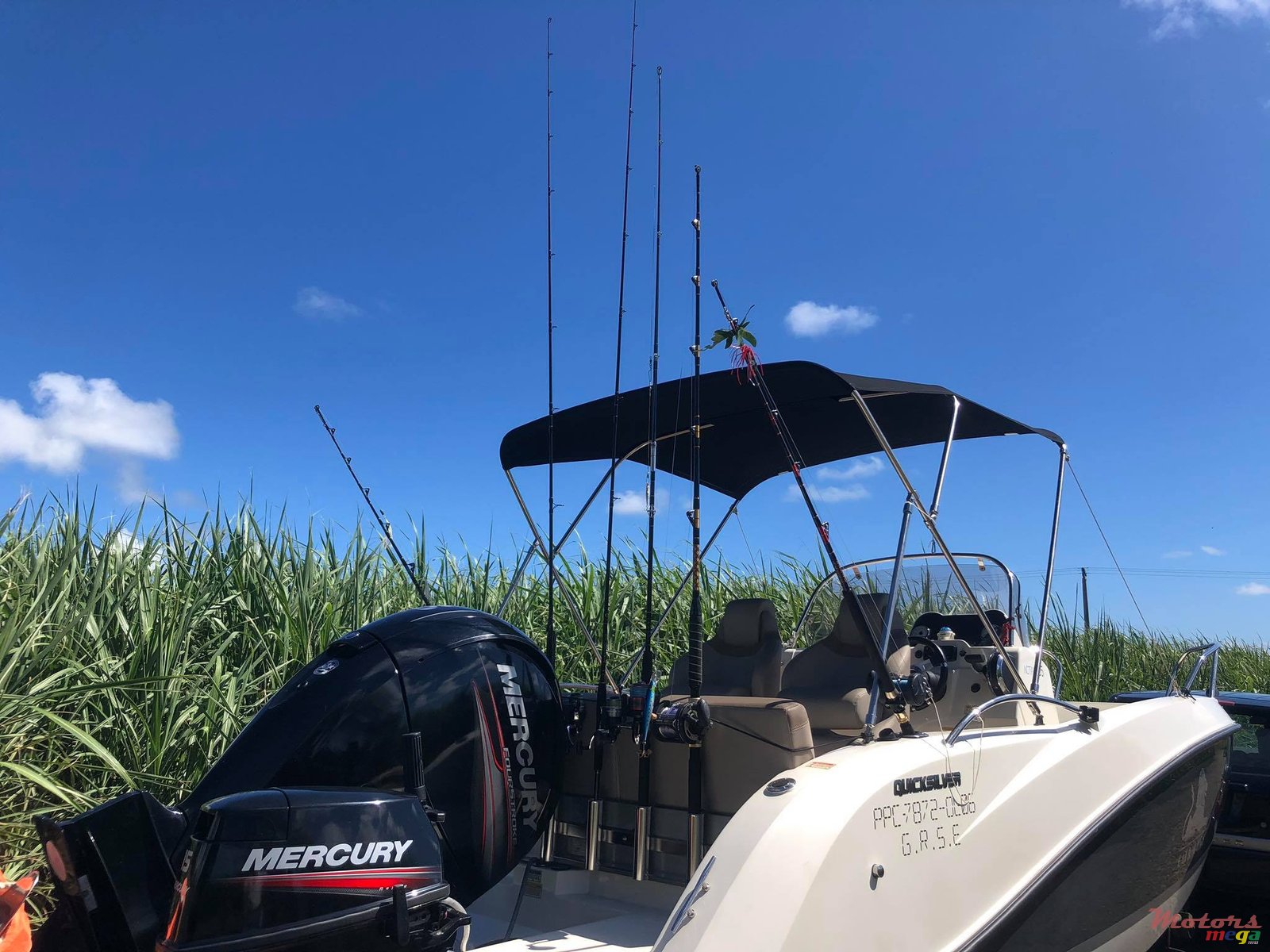 2016' Quicksilver photo #2