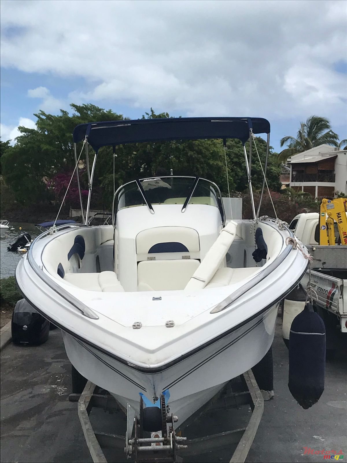 2009' Cobra photo #3