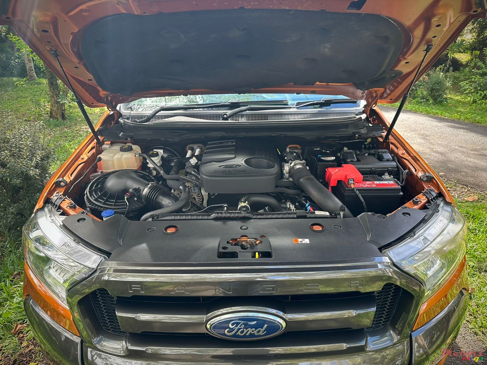 2018' Ford Ranger Wildtrak photo #6