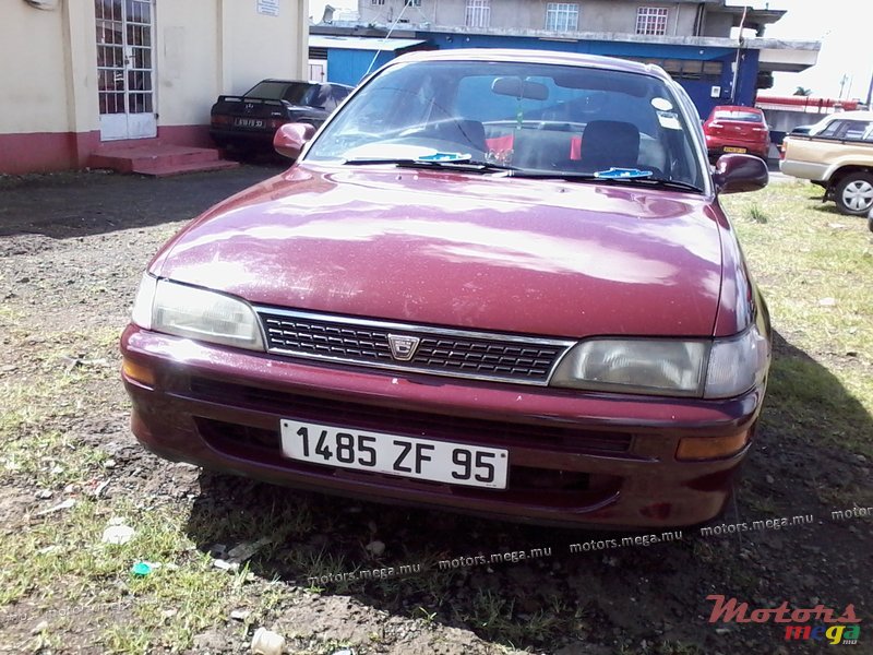 1995' Toyota Corolla photo #1