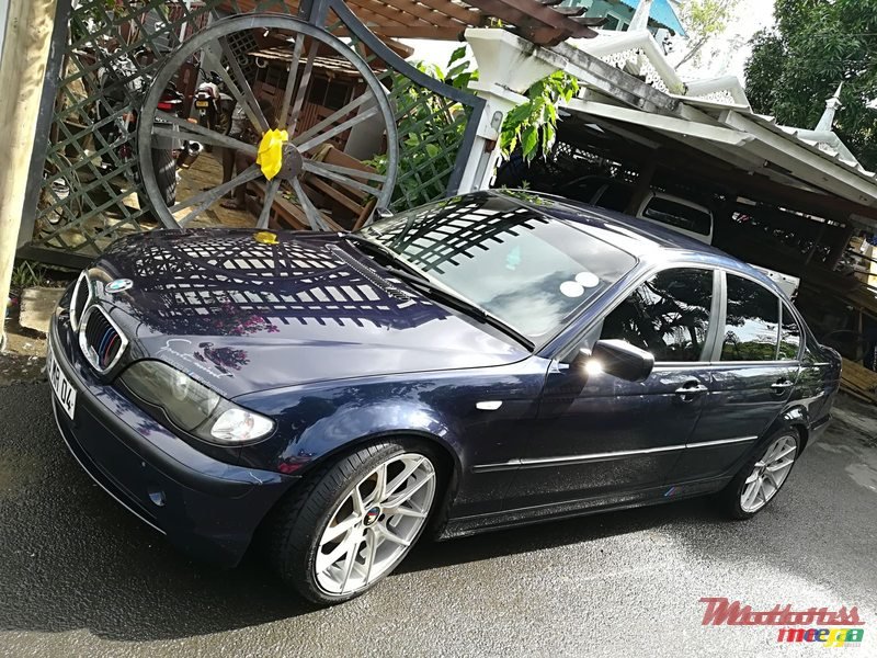 2004' BMW 318 photo #2