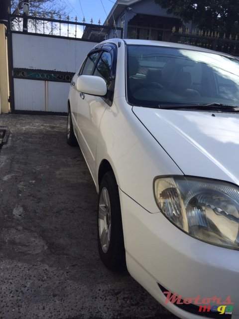 2001' Toyota Corolla photo #1