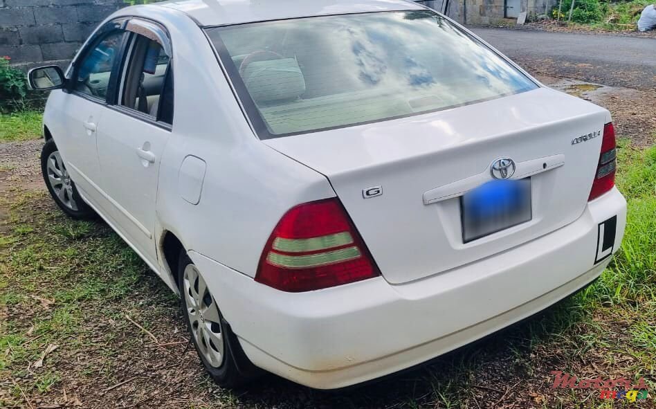 2001' Toyota Corolla photo #3