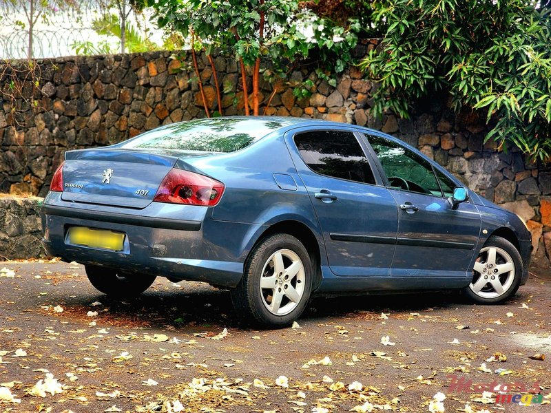 2008' Peugeot 407 photo #4