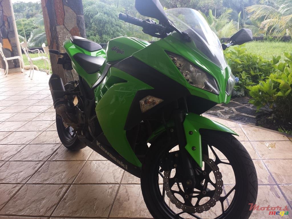 2014' Kawasaki Ninja 300 photo #1