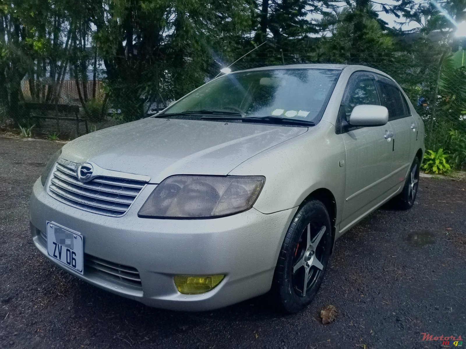 2006' Toyota Corolla NZE photo #2