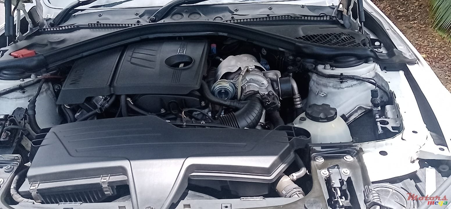 2013' BMW 316 photo #6