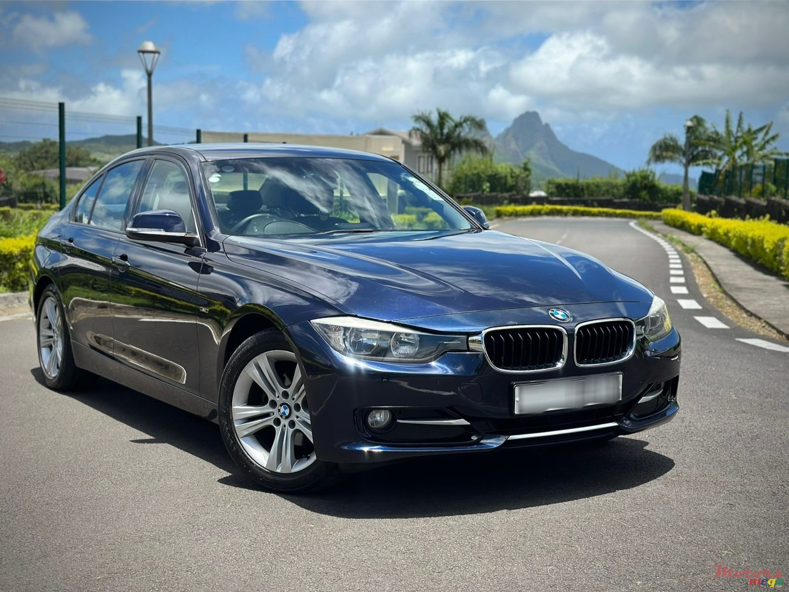 2013' BMW 316i photo #2