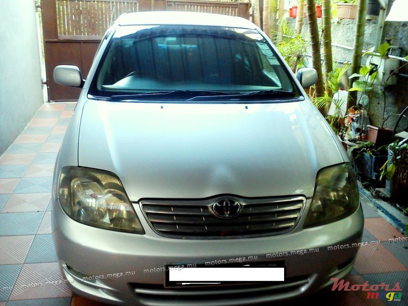 2003' Toyota Corolla NZE photo #1