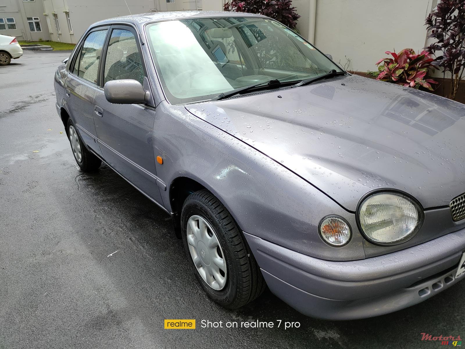 1998' Toyota Corolla photo #1