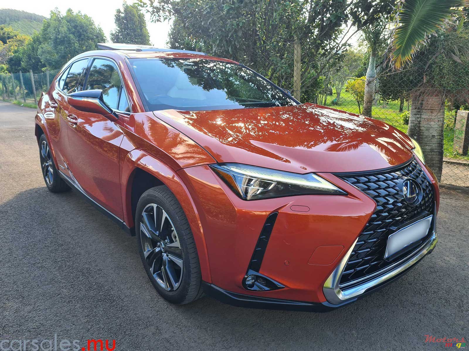 2021' Lexus UX 250h AWD photo #2