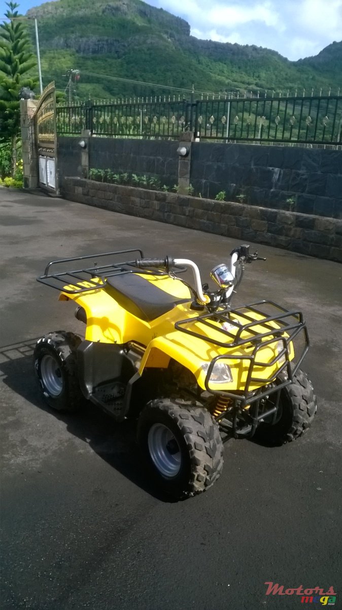 2012' Quad Bike photo #1