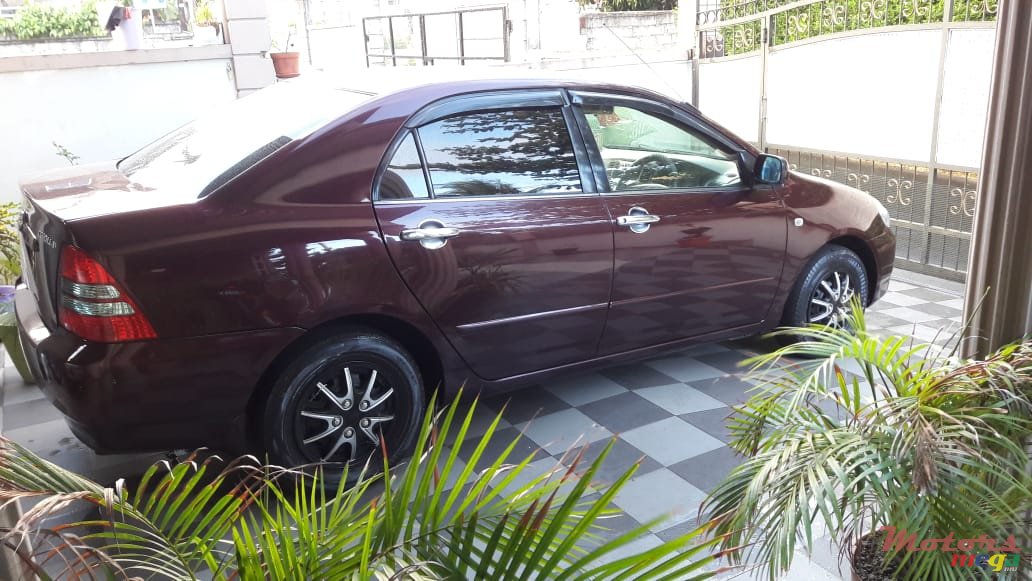 2003' Toyota Corolla photo #4