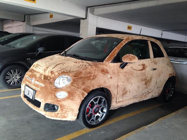 How Many Animals Had to Die to Wrap This Fiat 500 …