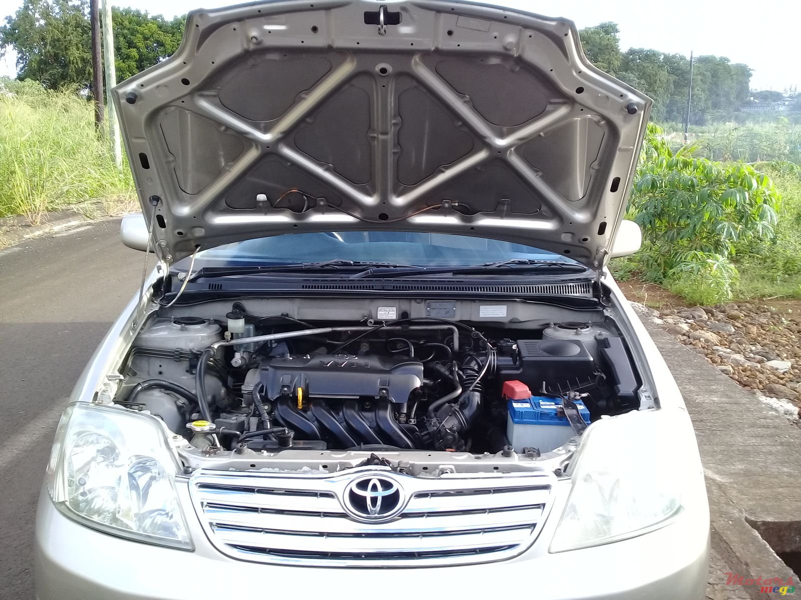 2003' Toyota Corolla NZE (Private) photo #3