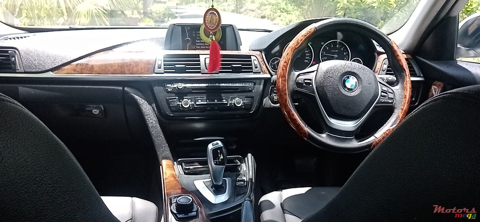 2013' BMW 316 photo #7