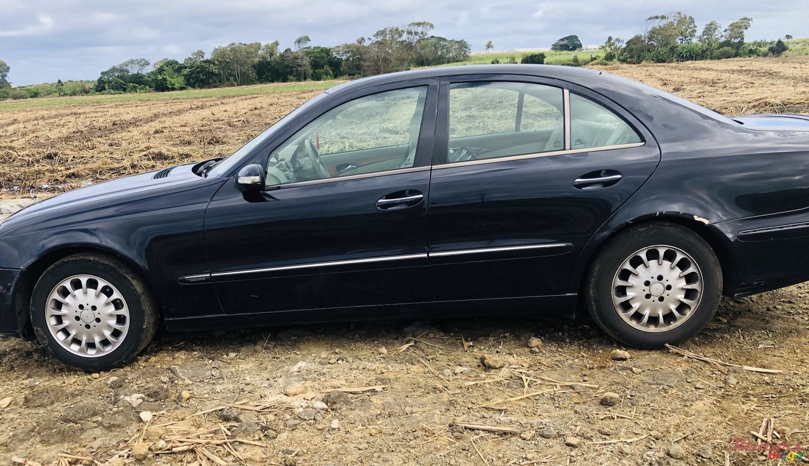 2004' Mercedes-Benz E-Class photo #4