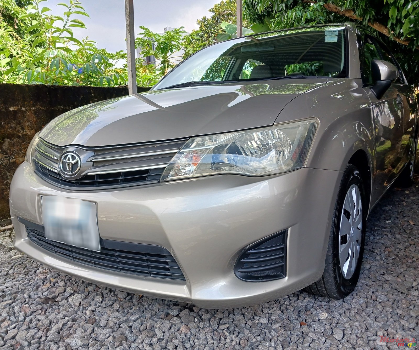 2013' Toyota Axio photo #1