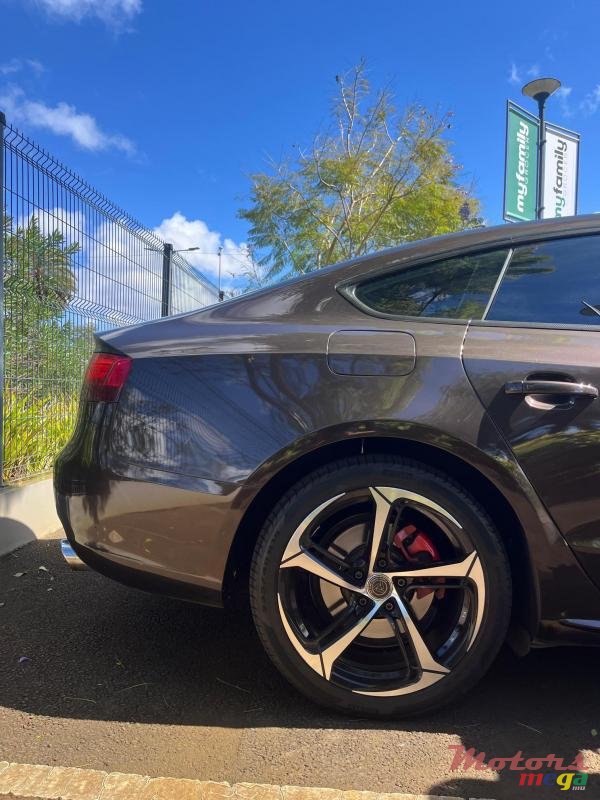 2013' Audi A5 photo #1