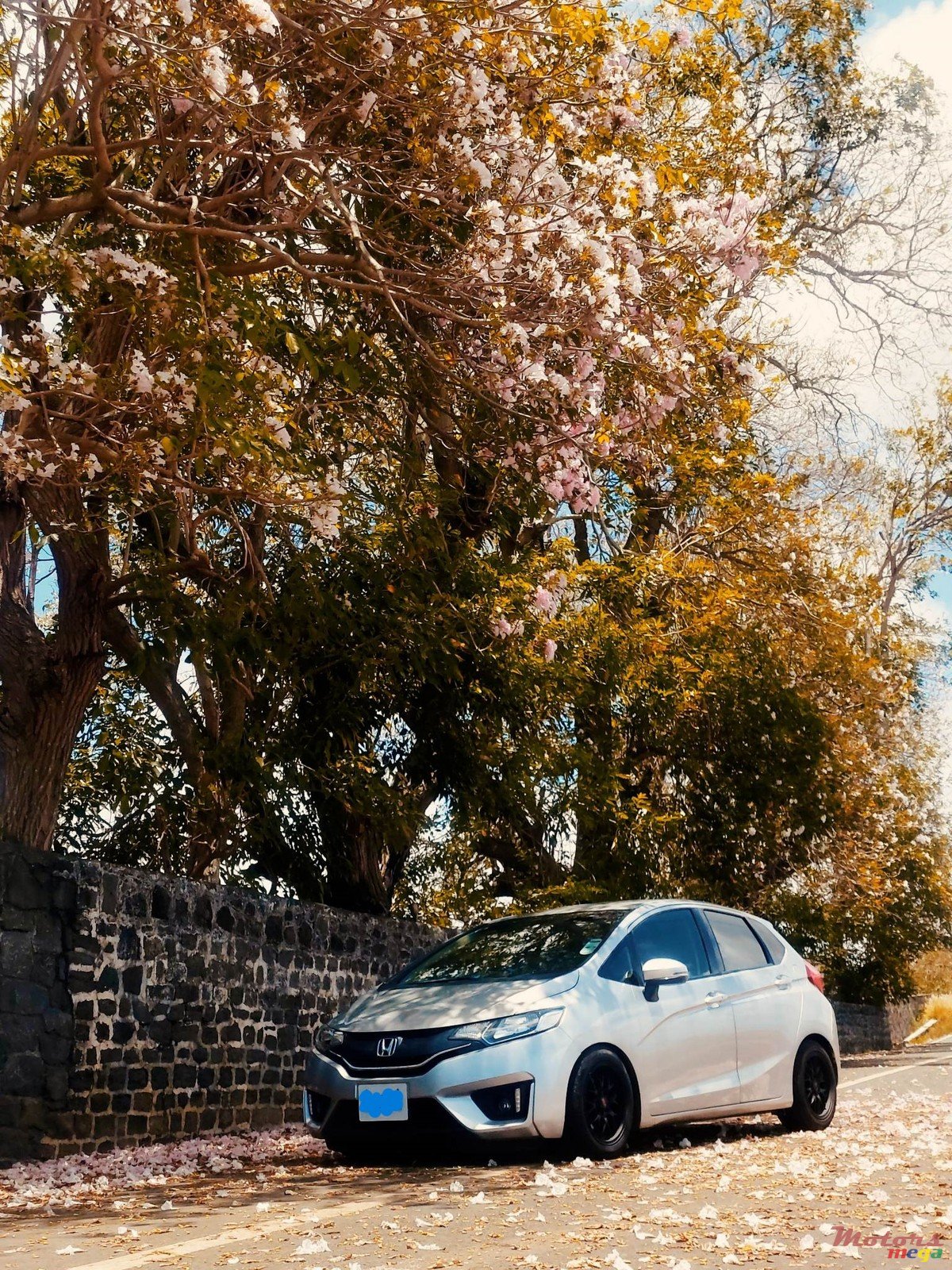 2015' Honda photo #2