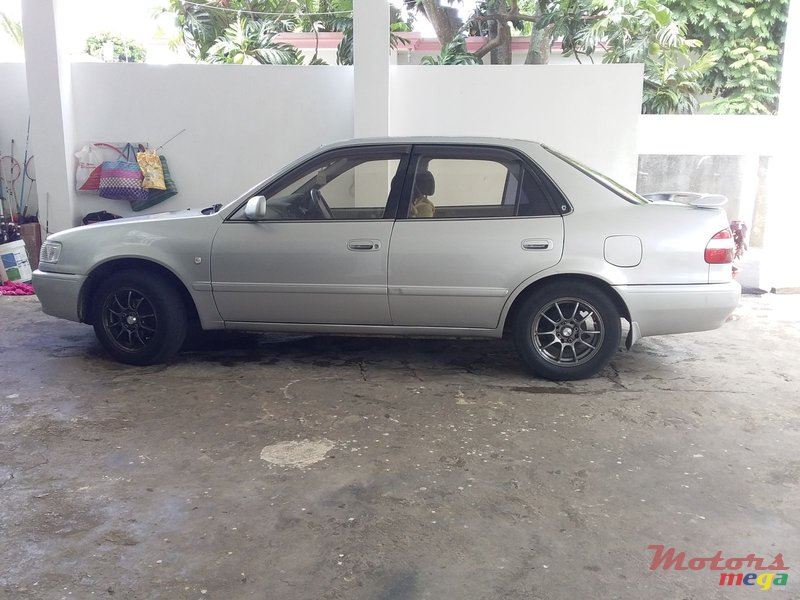 2000' Toyota Corolla nil photo #4