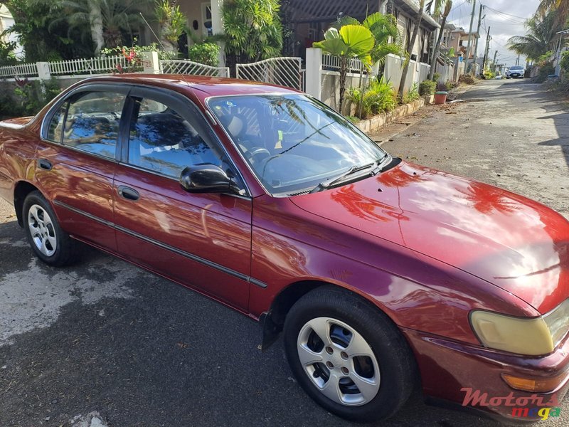 1992' Toyota Corolla photo #1