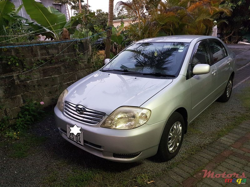 2004' Toyota Corolla NZE photo #2