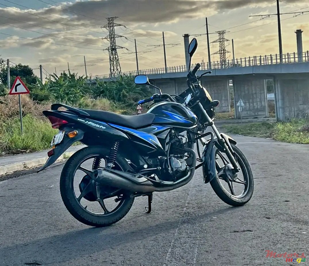2018' Suzuki Dorigin photo #1