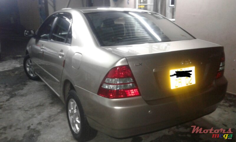 2002' Toyota Corrolla NZE photo #4