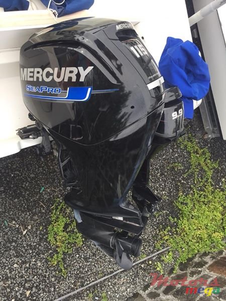 2011' Starcraft photo #5